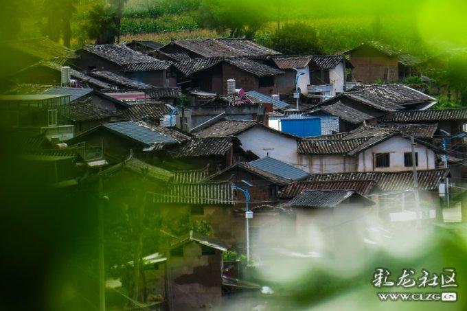 见缝插刀2