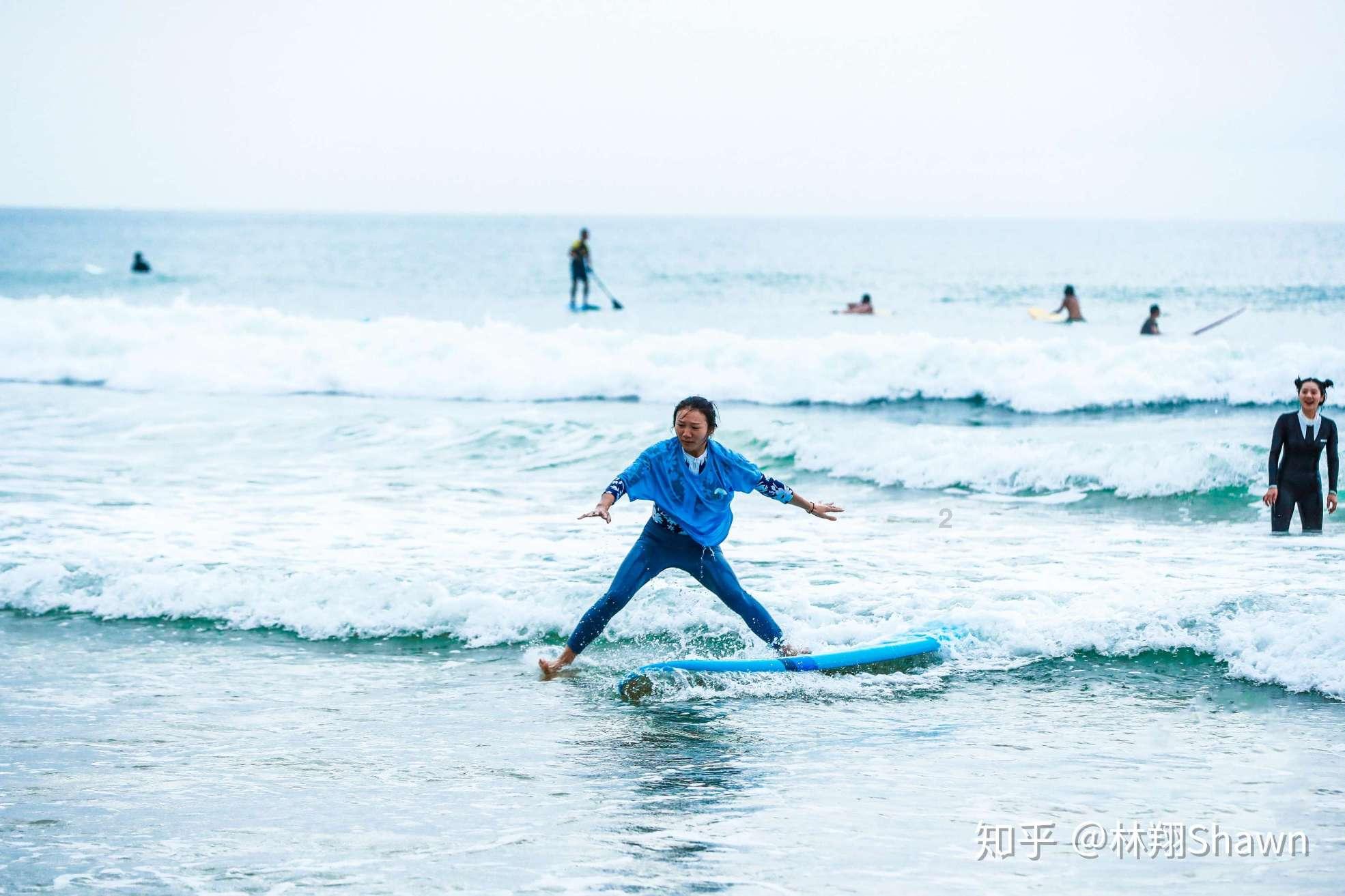 解救野生狐狸