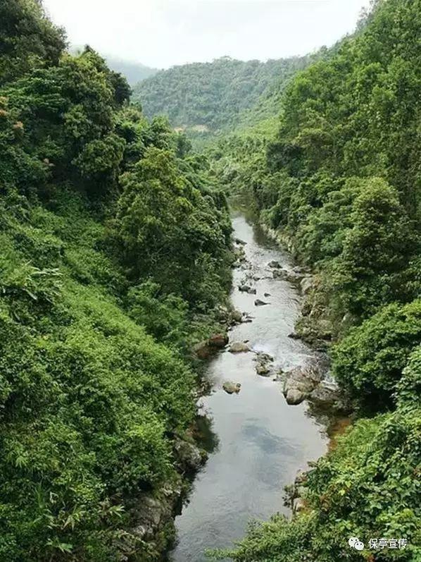 熊仔超级找茬