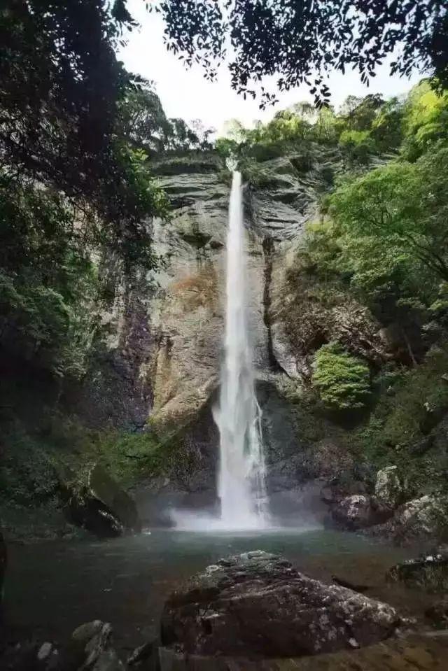 【朝医新闻】消化内科刘心娟团队在Nature子刊发表研究成果