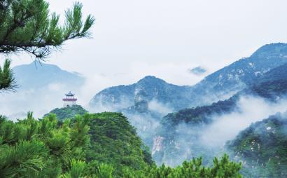 石英股份:累计回购约34万股