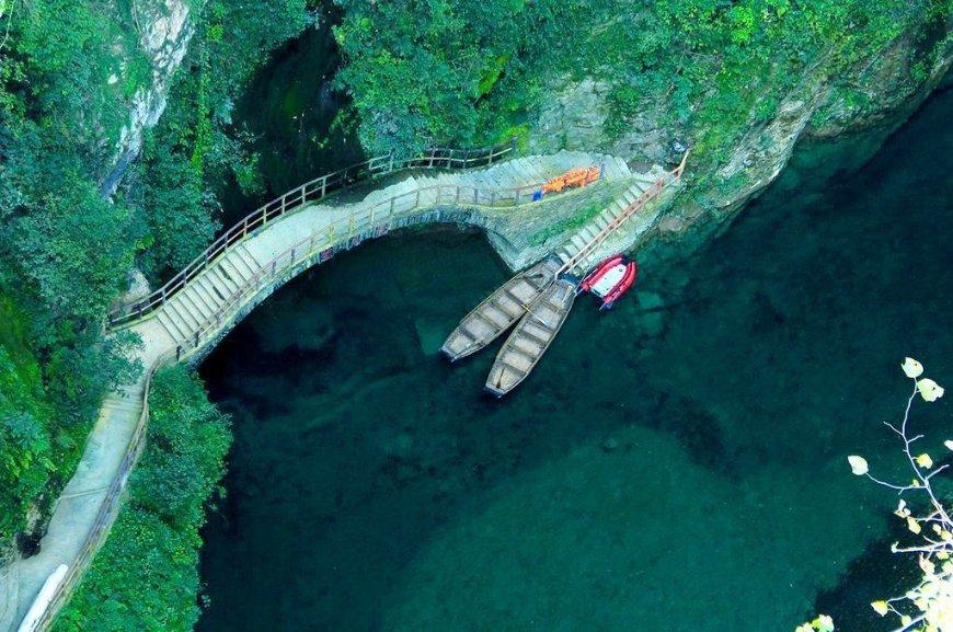 强大的狮子拼图